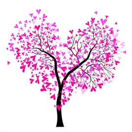 Rooted in Christ