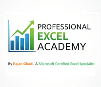 Professional Excel Academy