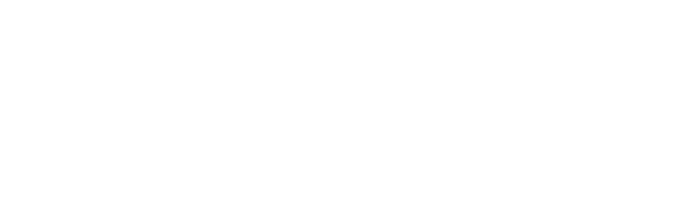 MobilityWise Consulting Inc.