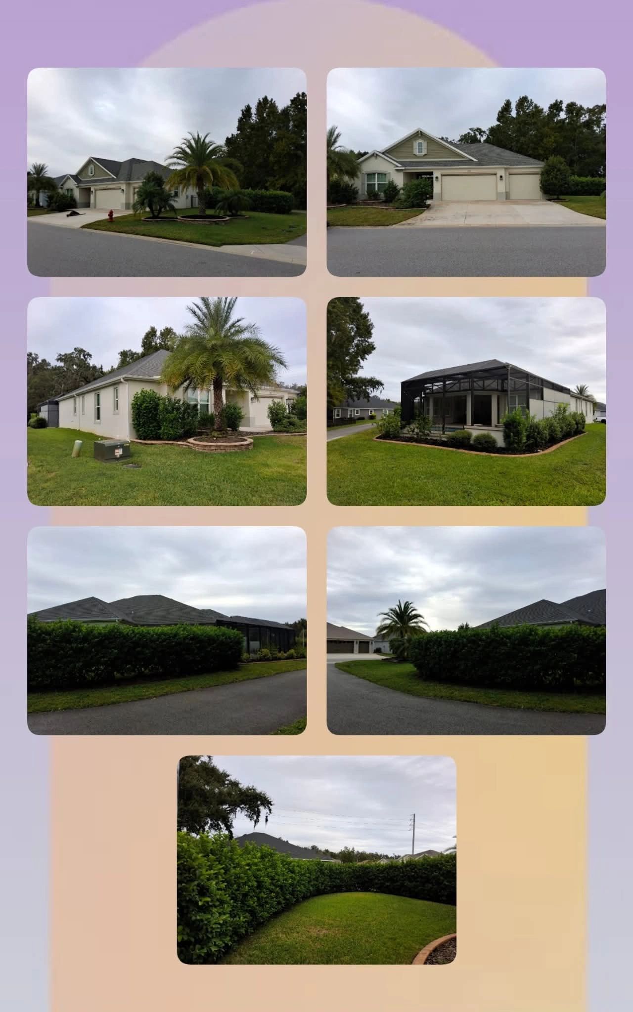 Before hedge trimming work in The Village of Chitty Chatty