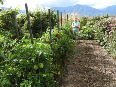 A lady standing in a field, she is a Home Grower