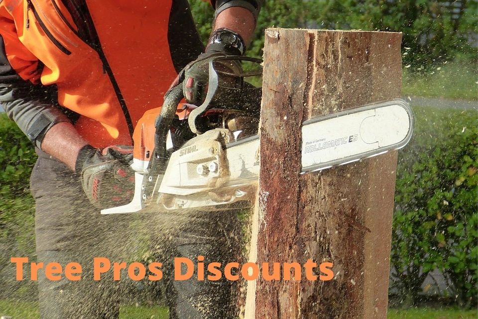 Take a big cut off your costs with Tree Pros Take a big cut off your costs with Tree Pros