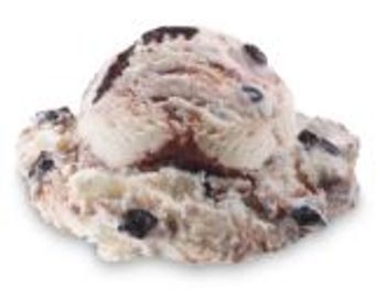 Vanilla Ice Cream with Chewy Fudge Pieces and Swirled with Butter Fudge Sauce