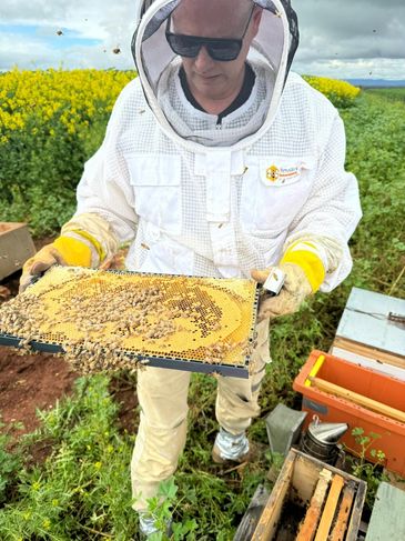 Bee hive - Bee Frame Beekeeping Product -  Oxalic Acid Vaporizer - InstantVap 18V Compact