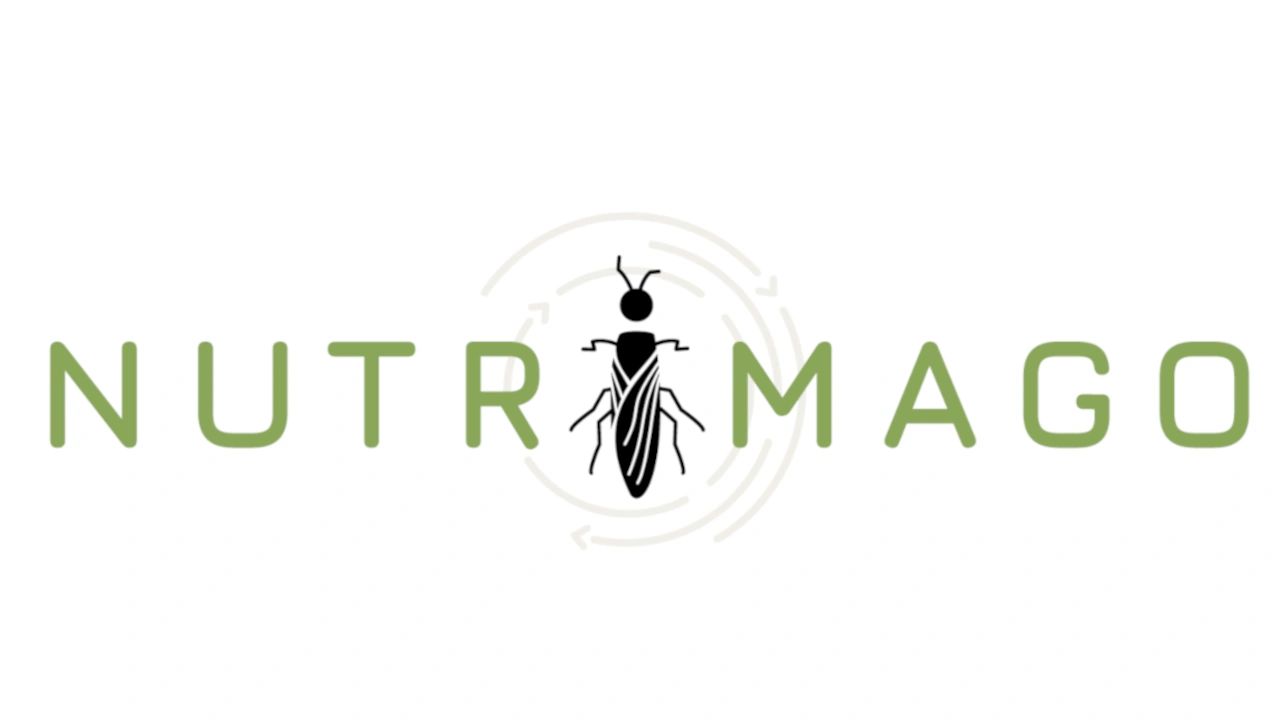 Logo with the word NUTRIMAGO and an insect illustration in the center.
