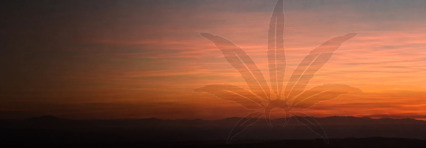 Sunset with a petal-shaped overlay.