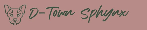 D-Town Sphynx