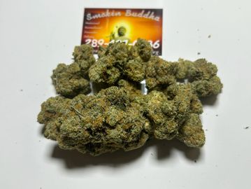 Garlic mints 