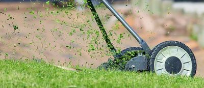 Lawn mower cutting the grass