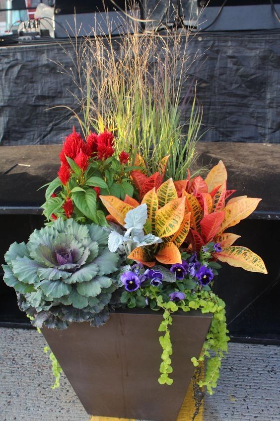 Think Fall ... Think Color ... Think Fall Planters !!!