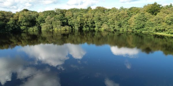 Aerial drone photo of a calm lake surrounded by a forest, with the water reflecting the trees