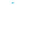 Web Fish Agency