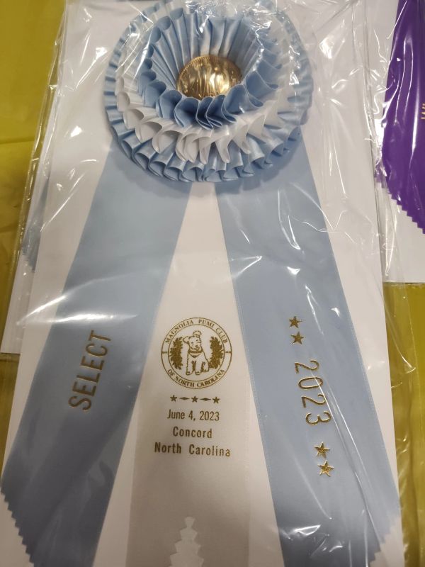 Blue and white award ribbon labeled "Select 2023".