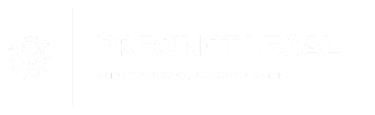 Precinct Legal