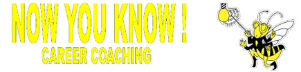 Now You Know Career Coaching