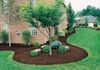Curb Appeal