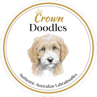 CROWN DOODLES