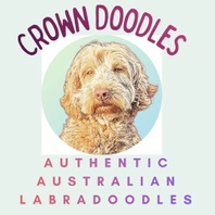 CROWN DOODLES