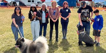 Some winners within the Dog Show 2025 - copyright: Jane & Yorkie