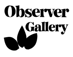 Observer Gallery 