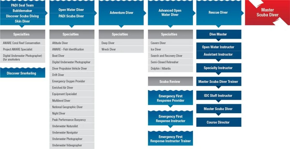 Padi Cert Level Chart