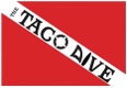 The Taco Dive