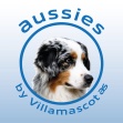 Australian Shepherd VM by Villa Mascotas