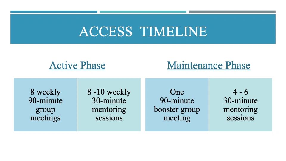 ACCESS Timeline Example