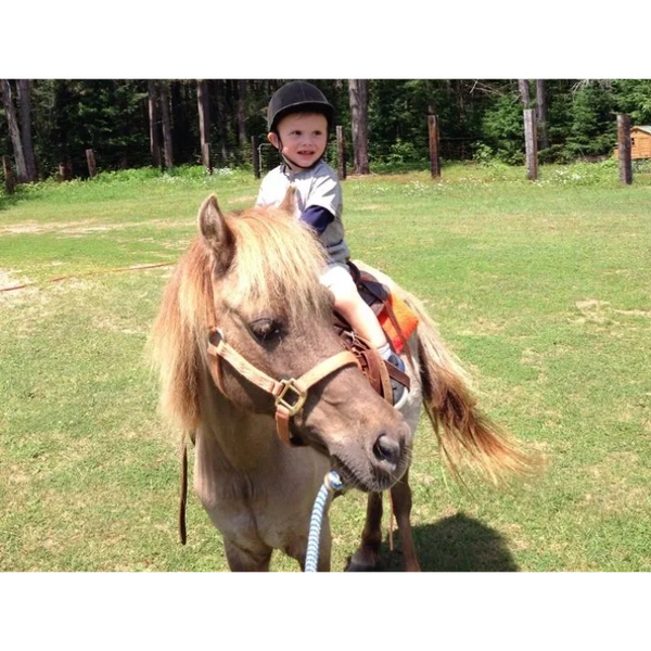 Child riding pony