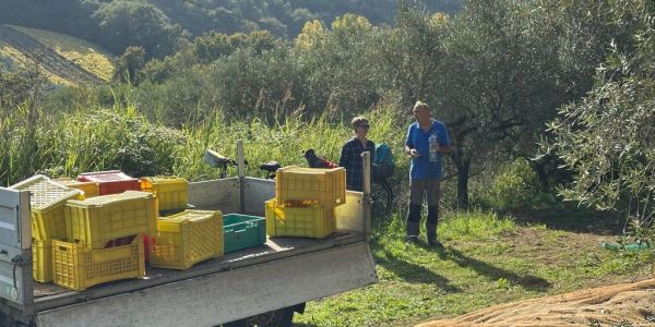 Two people stand near a truck loaded with yellow crates in a green, wooded area.