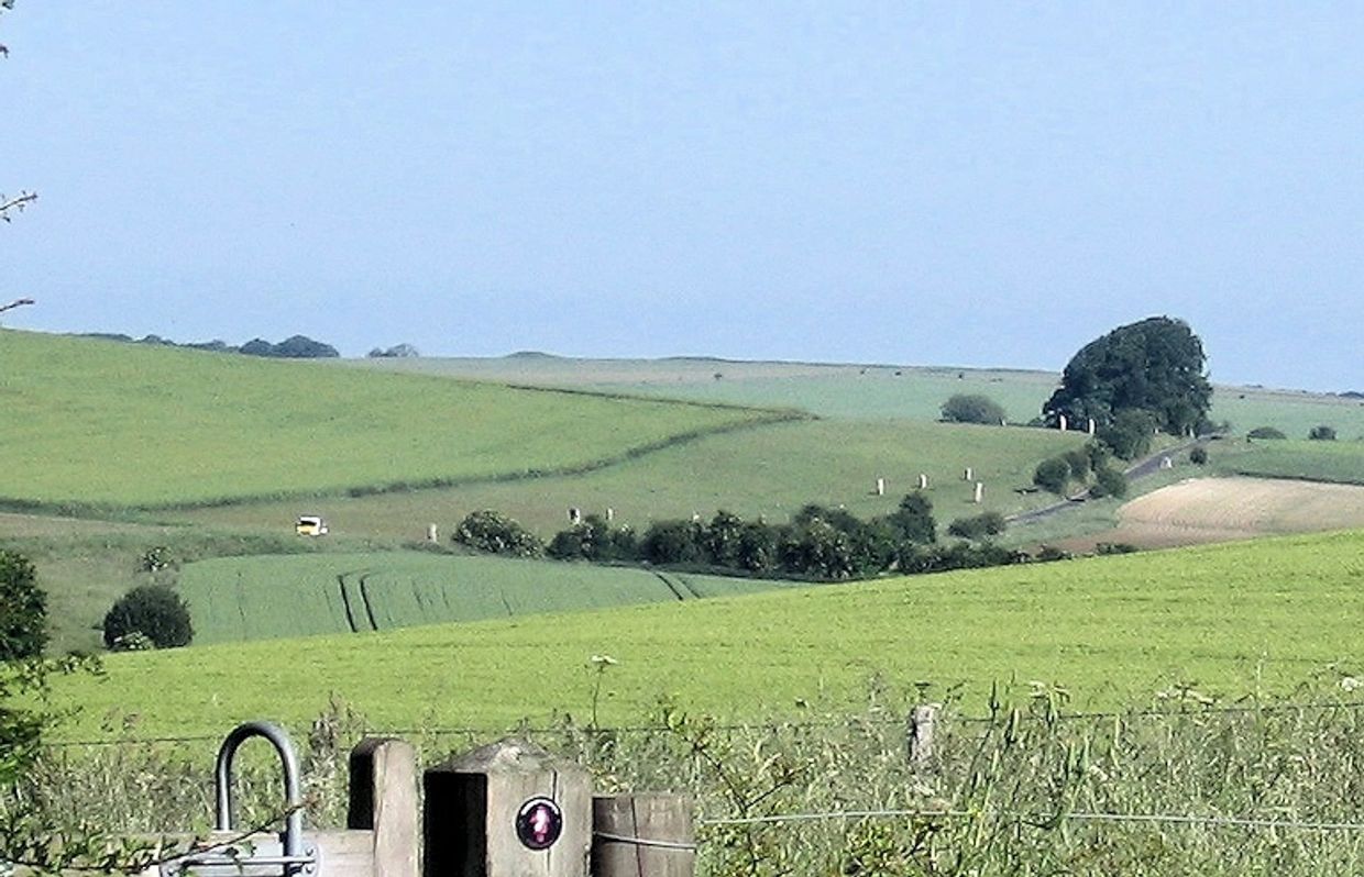 The West Kennet Avenue of stones seen from Avebury's Sanctuary. Windmill Hill is on the sky line.