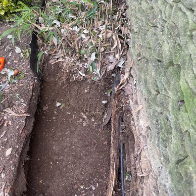 Chenviro bamboo excavation and removal 