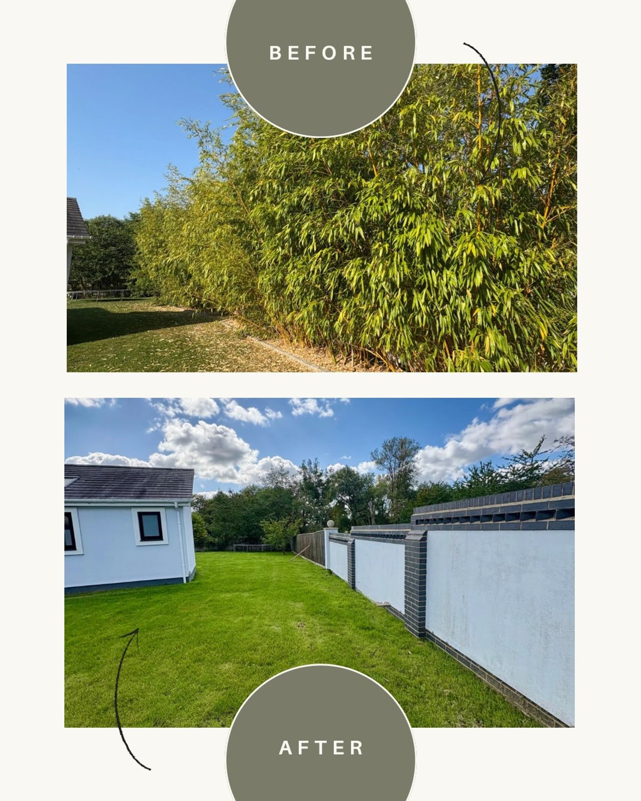 Chenviro bamboo removal 