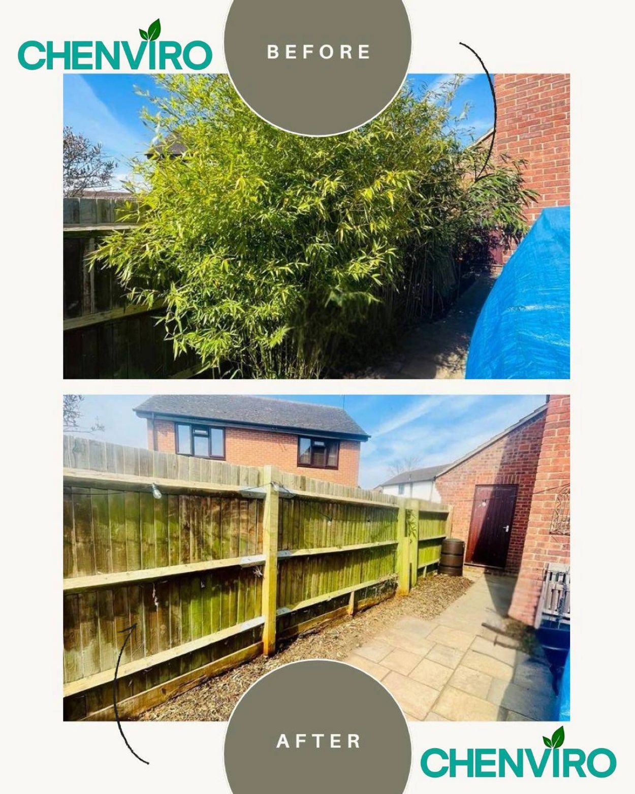 Chenviro bamboo herbicide treatment 