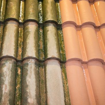roof cleaning organic matter material