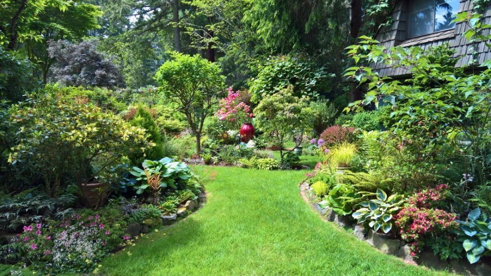 A lush garden path surrounded by various green plants and colorful flowers.