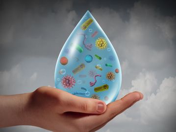 Bacteria in Water