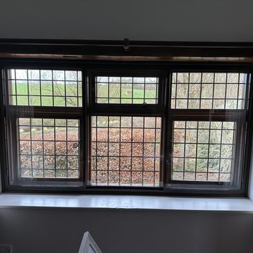 Window with grid-patterned glass looking out to trees and bushes.