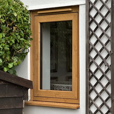 Wood-framed window on a white wall with plants.