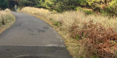A trail for hiking or biking.