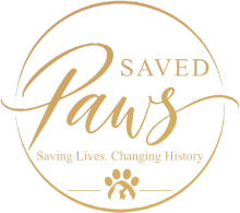 savedpaws.com