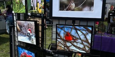 Framed photographs on a grid wall
