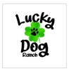 Lucky Dog Ranch SWM