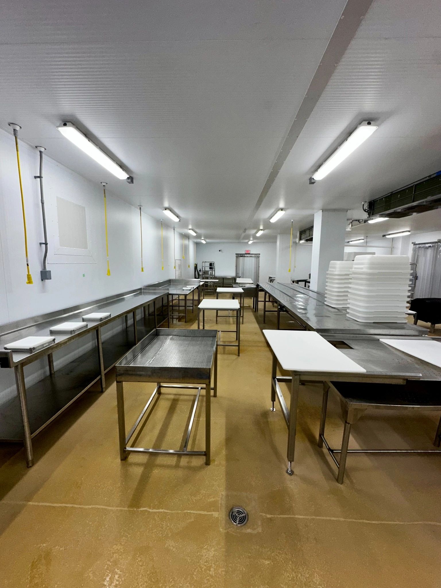 Our processing room