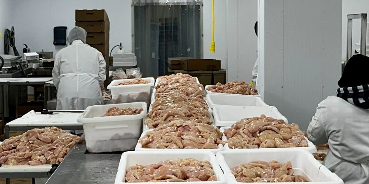 Workers processing large quantities of raw chicken in a facility.
