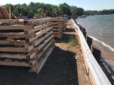 Wisconsin Devil's Lake Log Piles Provide predation protection.