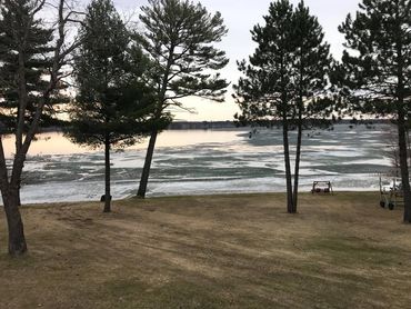 Pine trees along  Devil's Lake