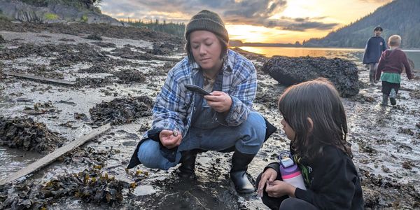 Woman and child exploring seaweed on a beach at sunset.