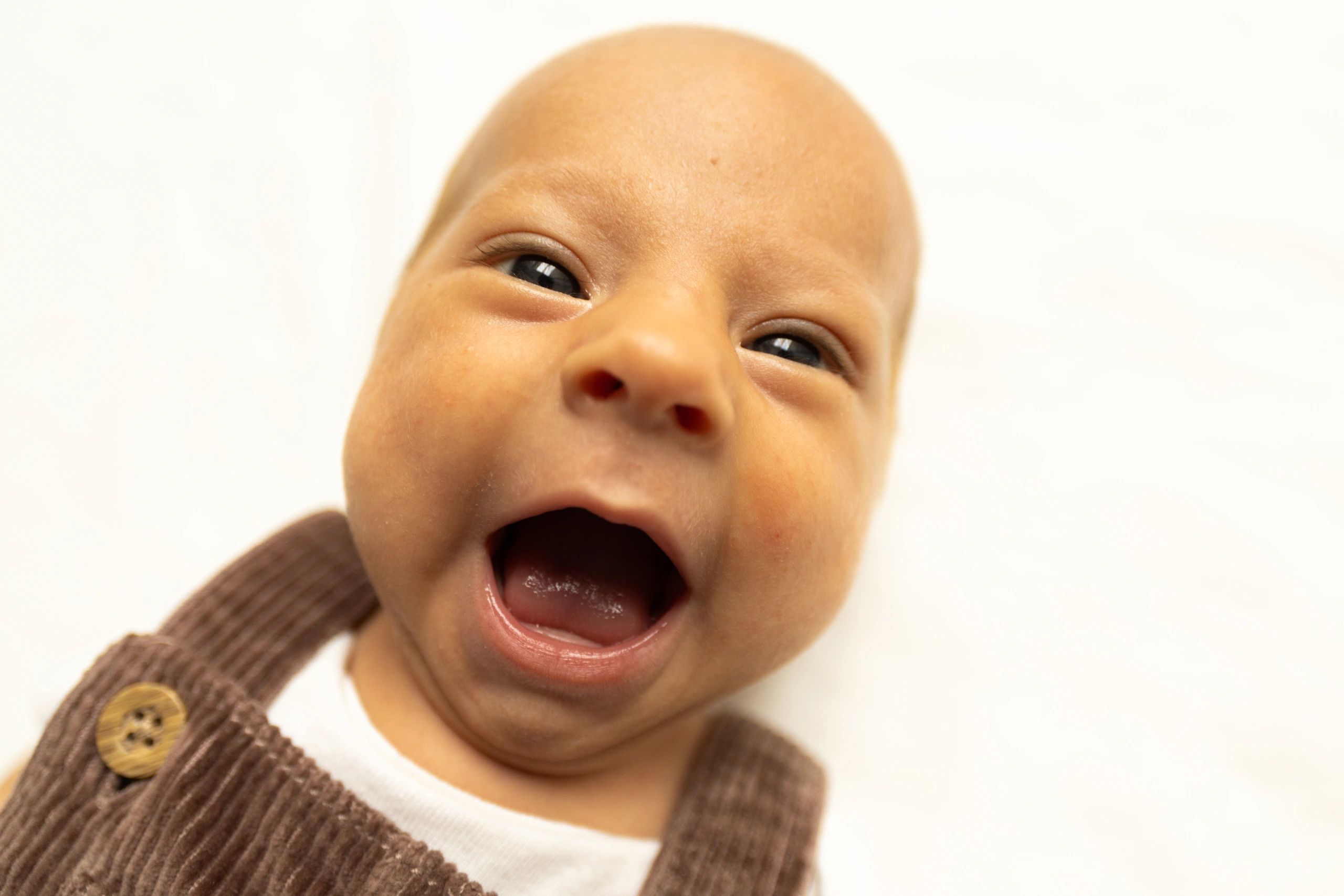 Soft light newborn photography near Tampa Bay
