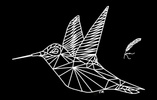 Offbeat Hummingbird 